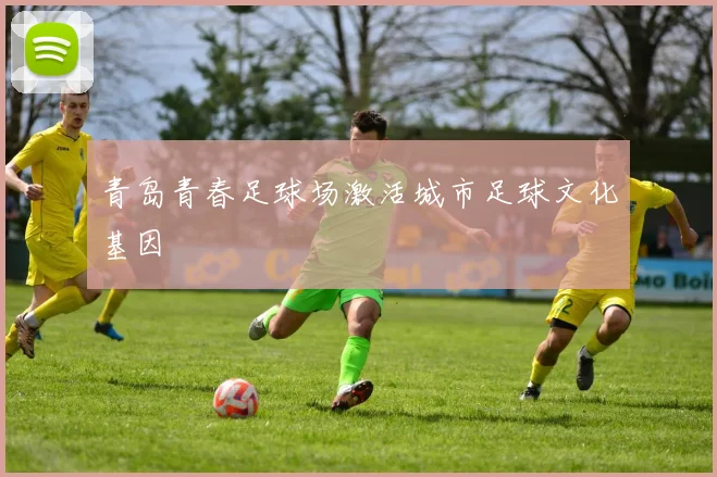 青岛青春足球场激活城市足球文化基因