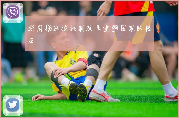 新周期选拔机制改革重塑国家队格局