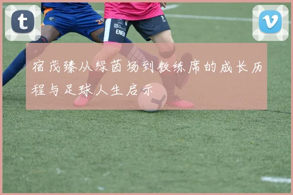 宿茂臻从绿茵场到教练席的成长历程与足球人生启示