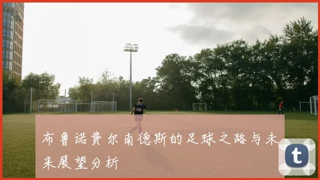 布鲁诺费尔南德斯的足球之路与未来展望分析