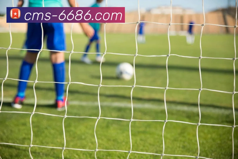 6686官网APP 体育赛事宣传图